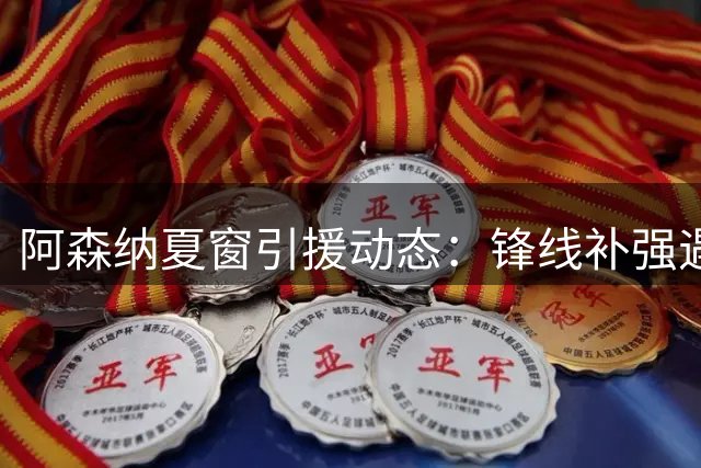 阿森纳夏窗引援动态：锋线补强遇阻 后防目标价差悬殊